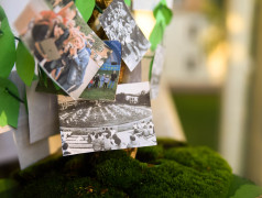 Генеалогическое древо ДОЦ &laquo;Старая Руза&raquo;