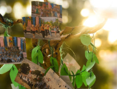 Генеалогическое древо ДОЦ &laquo;Старая Руза&raquo;