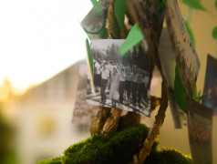 Генеалогическое древо ДОЦ &laquo;Старая Руза&raquo;