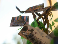 Генеалогическое древо ДОЦ &laquo;Старая Руза&raquo;