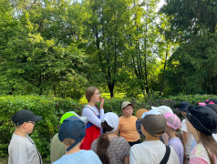 Квест "Артефакты России"