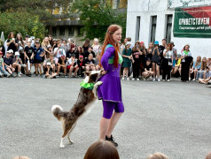 Выступление цирковой команды "Арлекино" г.Екатеринбург
