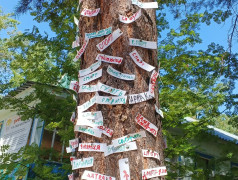 Акция &laquo; Забей и действуй!&raquo;в ДОЛ им.Ю.А.Гагарина