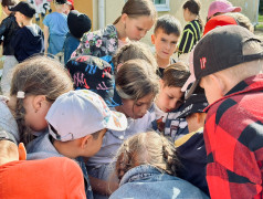 4 день | 2 смена | итоги