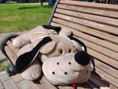 Путешествие плюшевых друзей