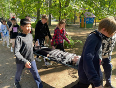 Военизированная игра