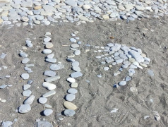 Лето. Солнце. Жара!