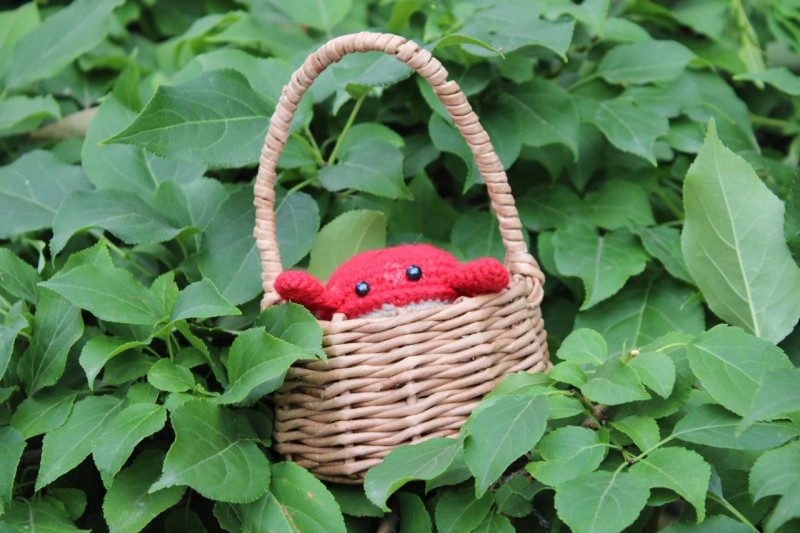 Добрый крабик &mdash; подарок от сердца