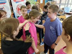 "Антисептик" и "Твое безопасное путешествия" - новости из Страны железных дорог