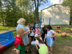 Поэтапная игра &laquo;ЗОЖ- выбирает молодёжь!&raquo;.