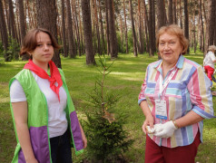 Знаменательные события в Заслоновграде: встреча поколений и открытие нового мемориала