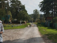 30 Августа в ДОЛ "Магистраль" 1 отряд отправился в увлекательный... 