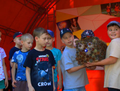 День Эколога в Заслоновграде!
