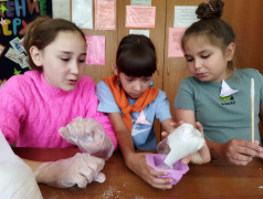 ПРОЕКТ &laquo;ДЕТСКАЯ МЕЧТА&raquo;