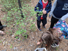 Моя малая Родина