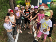 Фотокросс в ДОЛ им. Ю. Гагарина: Креативность и Командный Дух в Каждой Снимке