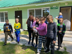 Военизированная игра