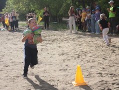 ВМЕСТЕ ВЕСЕЛО...