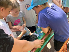 &laquo;В гостях у смешариков&raquo;