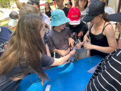 &laquo;В гостях у смешариков&raquo;