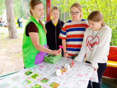 Командно-стратегическая игра "Вызов" в лагере "Сосновый бор"