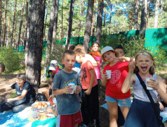 Большой пикник в ДОЛ &laquo;Серебряный бор&raquo; 