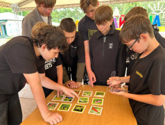 Железнодорожный вызов