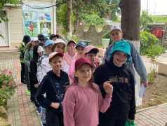 Дан старт летнему оздоровительному сезону 2023 в лагере &laquo;Зеленый Огонек&raquo;!