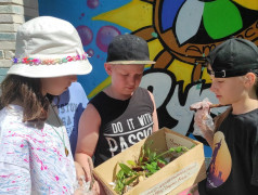 А что растет в &laquo;Старой Рузе&raquo;?