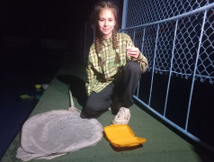 Квест &laquo;Тайны нашего леса!&raquo;