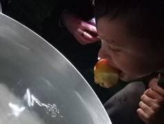 Квест &laquo;Тайны нашего леса!&raquo;