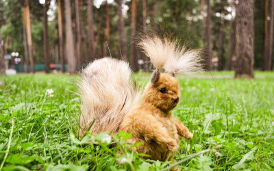 Итоги конкурса &laquo;Талисман нашего лагеря&raquo;