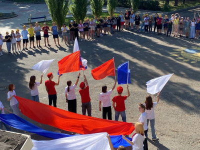 Вектор Развития