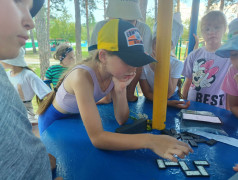 Интеллектуальный кросс в ДОЛ им. Ленина