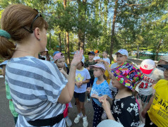 Поэтапная игра &laquo;Широка страна моя родная&raquo; 