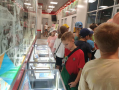 Экскурсия на ДЖД, ДОЛ "Локомотив"