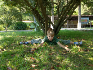 Зелёный день в 