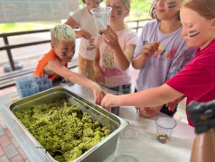 Шоколадная мастерская "Confetino" в ДОЛ "Экспресс"