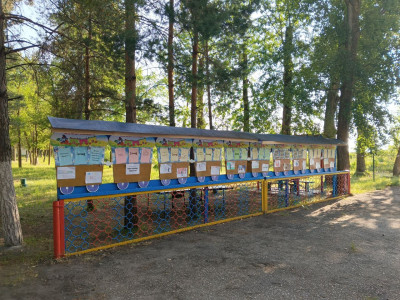 ДОЛ им. Зои Космодемьянской  на фото