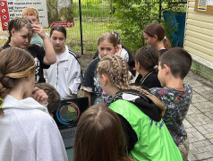 игра - квест "Иммуноген" 1 смена ДОЛ им. Зои Космодемьянской