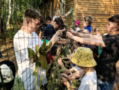  ДОЛ "Звёздный" в деле! Плетём маскировочные сети 