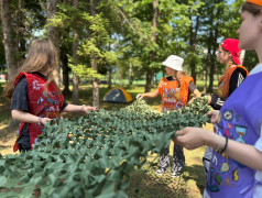 Железнодорожный вызов - приняли!