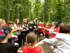 Игры разума: живопись в фокусе! 