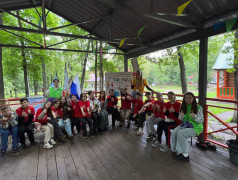 "Иммуноген": квест за железное здоровье!