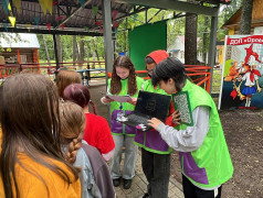 "Иммуноген": квест за железное здоровье!