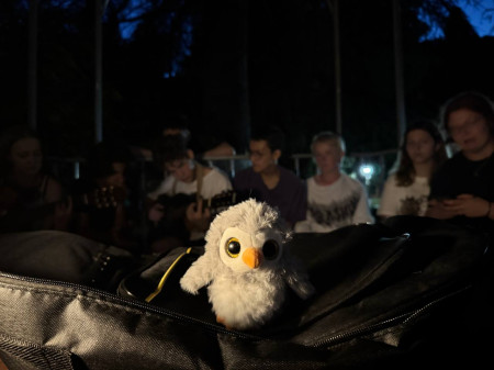 Отблески дня в ДОЛ 