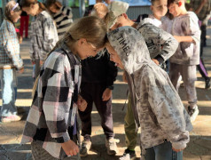  "Ловкий пассажир": полёт нормальный! 