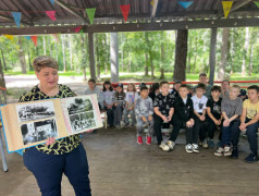  "Любимый лагерь" раскрывает свои тайны! 