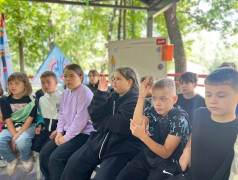  "Любимый лагерь" раскрывает свои тайны! 