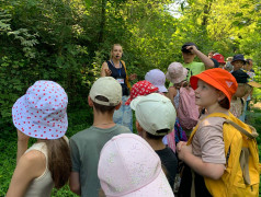 Дольмены Волконские: Там были камни, и они были большие!